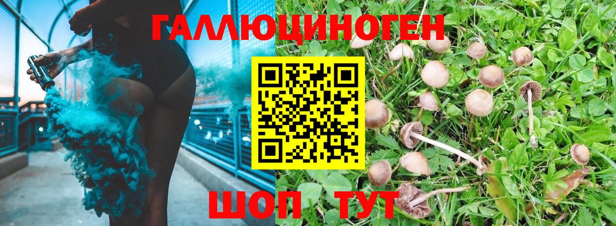Галлюциногенные грибы мицелий  Вход с VPN  Псилоцибиновые грибы GOLDEN TEACHER  Первоуральск 